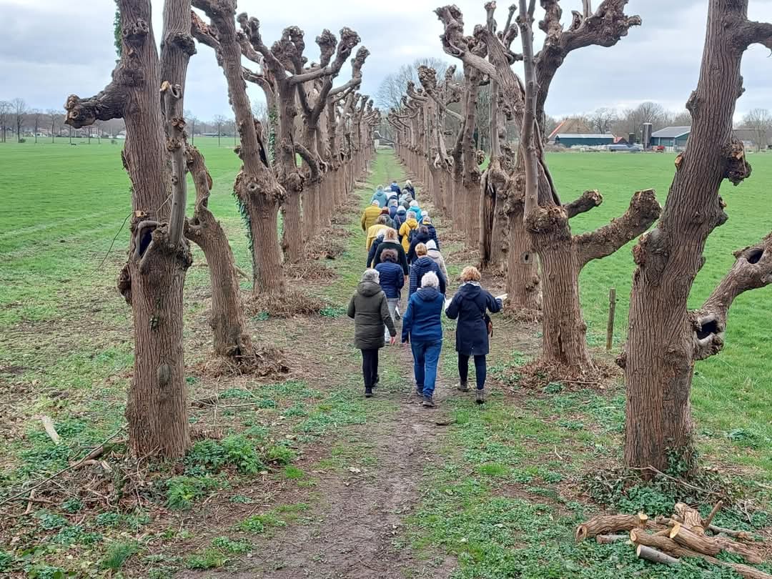 Zes zaterdagwandelingen in de veertigdagentijd
